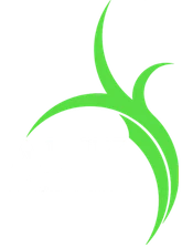 Ang Mo Kio Presbyterian Church